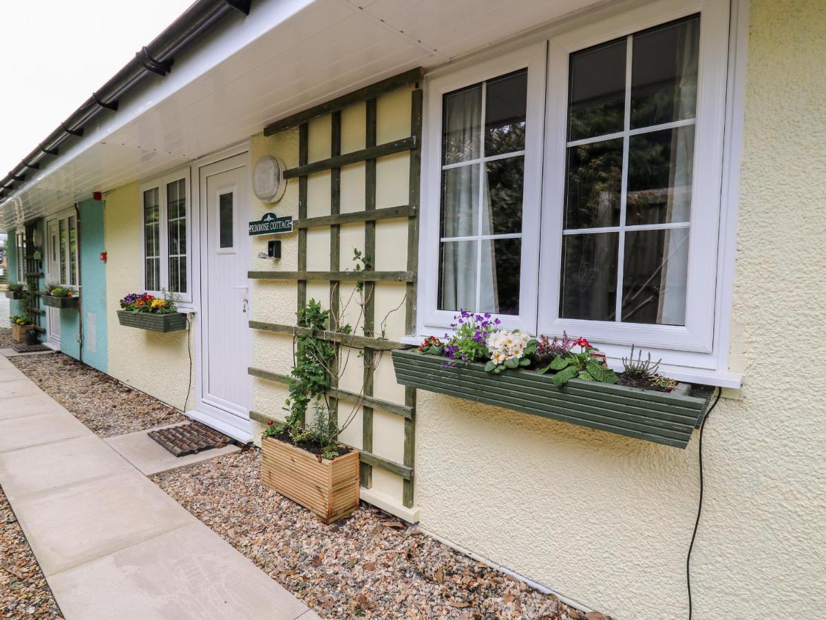 Primrose Cottage Llandrindod Wells Εξωτερικό φωτογραφία
